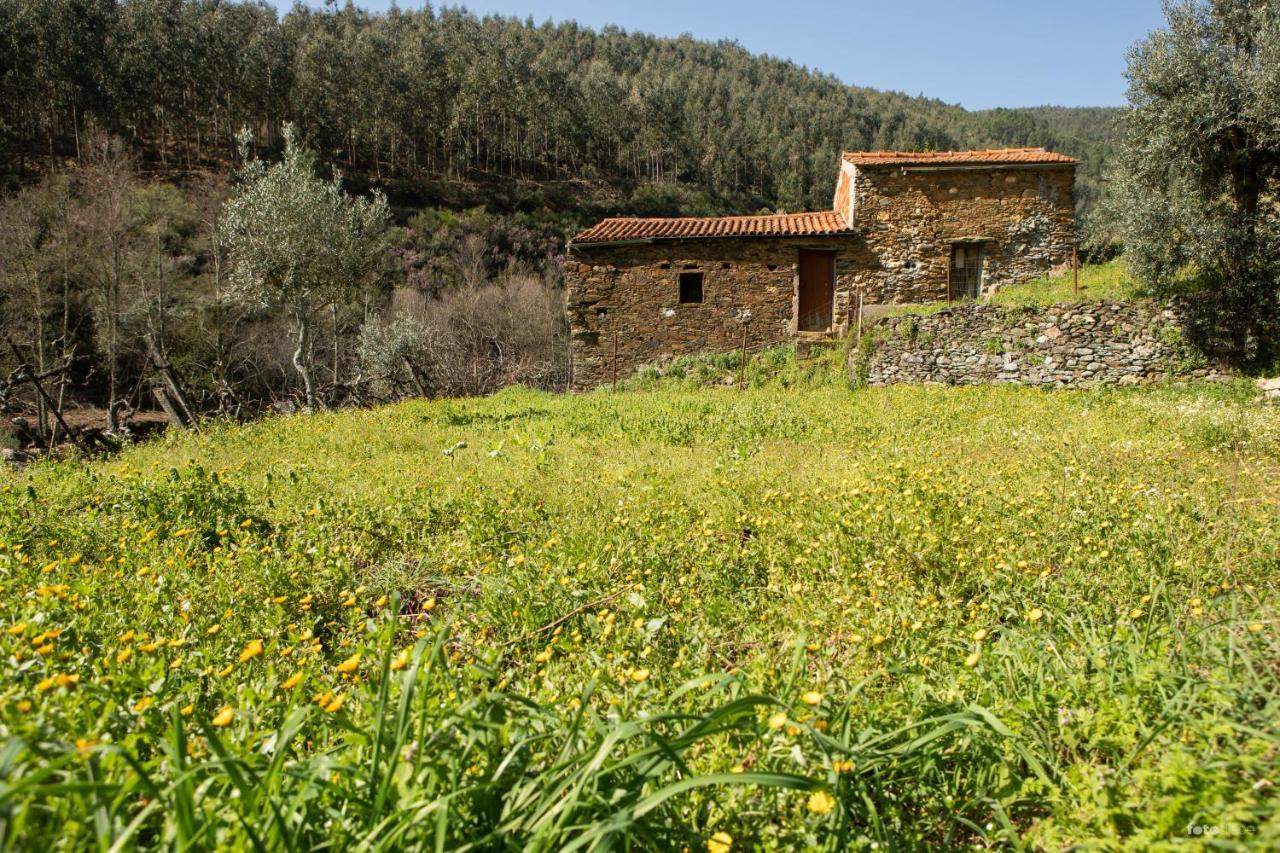 Casinha Da Aldeia Villa Castelo Branco  Exterior photo